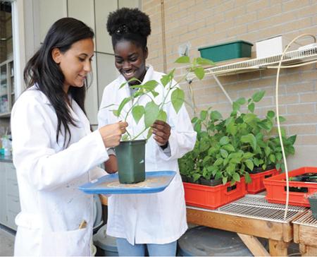 Two students exaining a plant