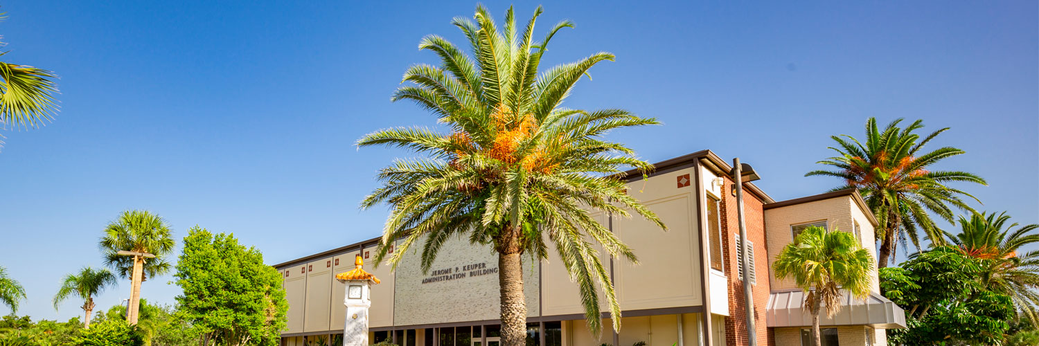 Palm Trees on Campus
