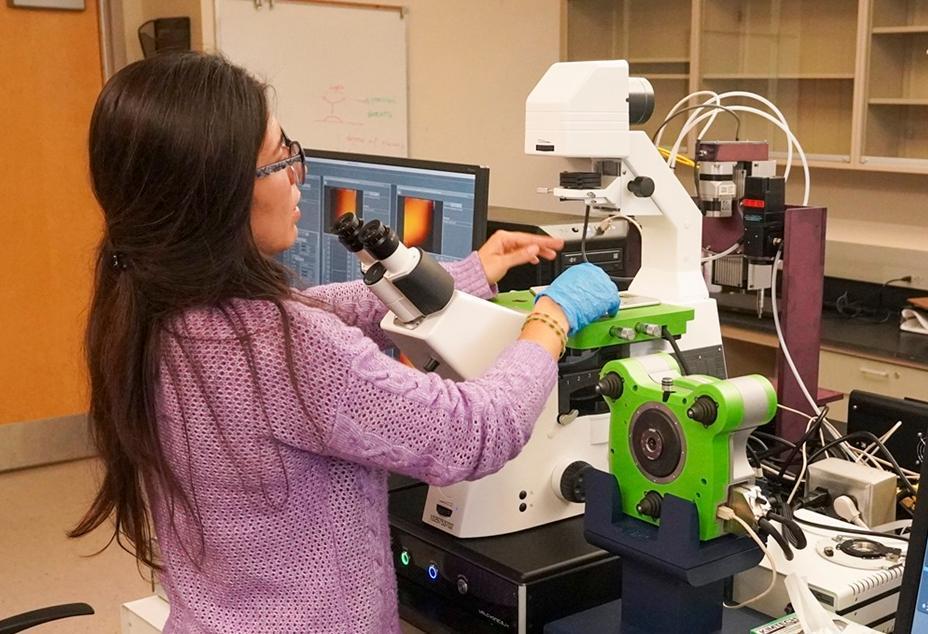 Graduate student using an atomic force microscope