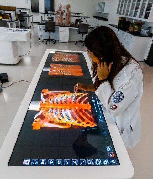 Student researcher working at the digital medical table