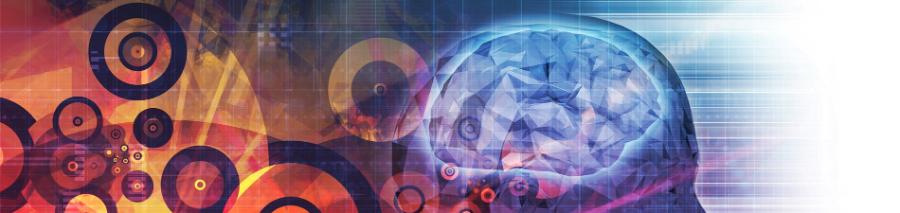 A colorful artistic depiction of a brain suggesting detailed inner workings