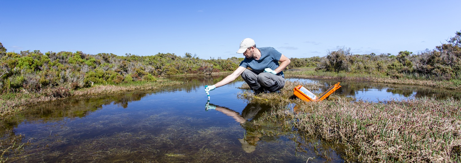 Scientist measuring environmental water quality parameters in a wetland.