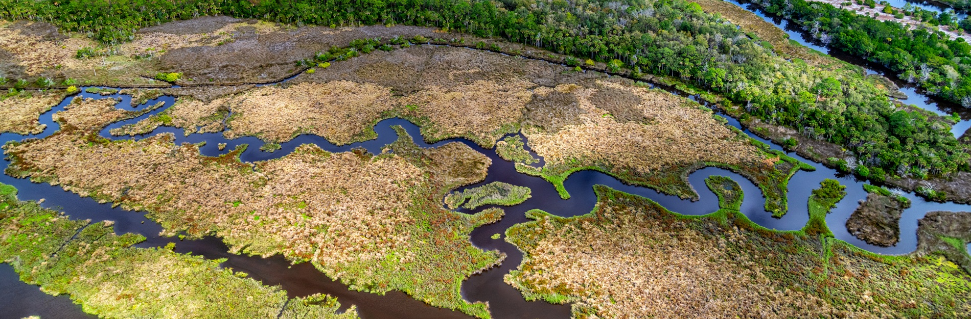 Aerial view of wetland near Ormond Beach, Florida
