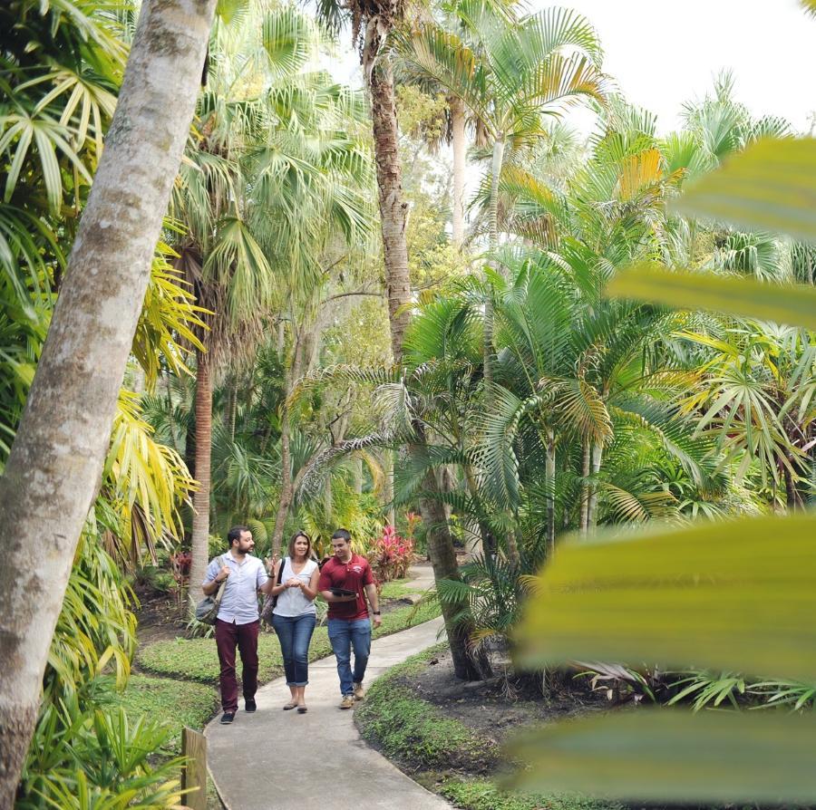 Three students walk in the botanical garden on campus.