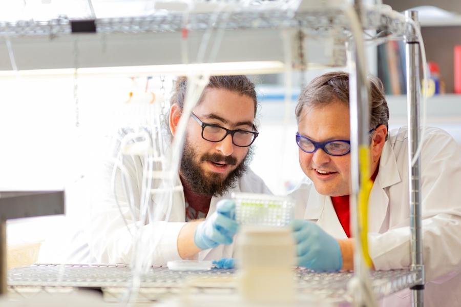 Biological sciences PhD student D. Handy and Dr. Palmer working in a lab