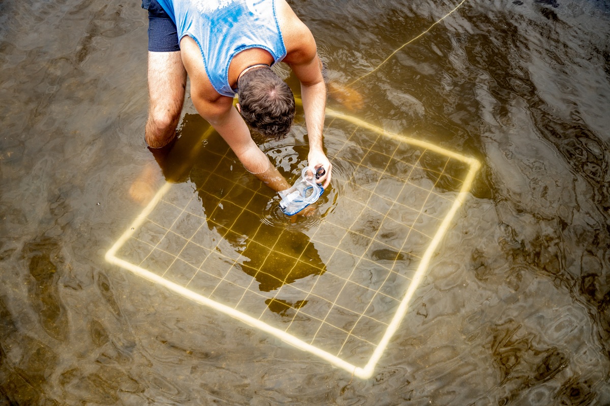 A student uses a quadrat to record data about Indian River Lagoon organisms