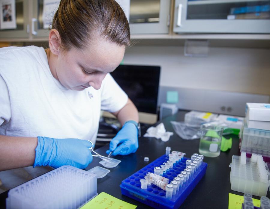 A student prepares samples for testing