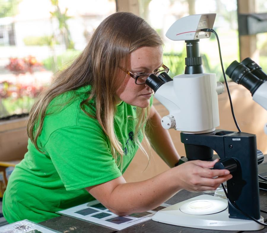 A student uses a microscope to examine samples collected in the field.