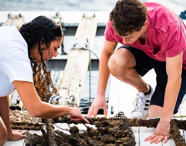 Students inspecting biofouling during a field lab
