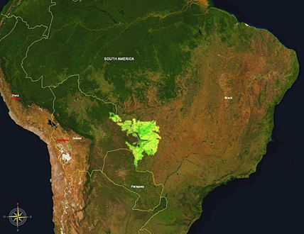 Brazil’s Pantanal. Photo by Wikipedia.