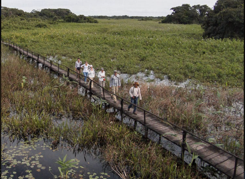 Marsh boardwalk. Photo by Araras Eco Lodge.