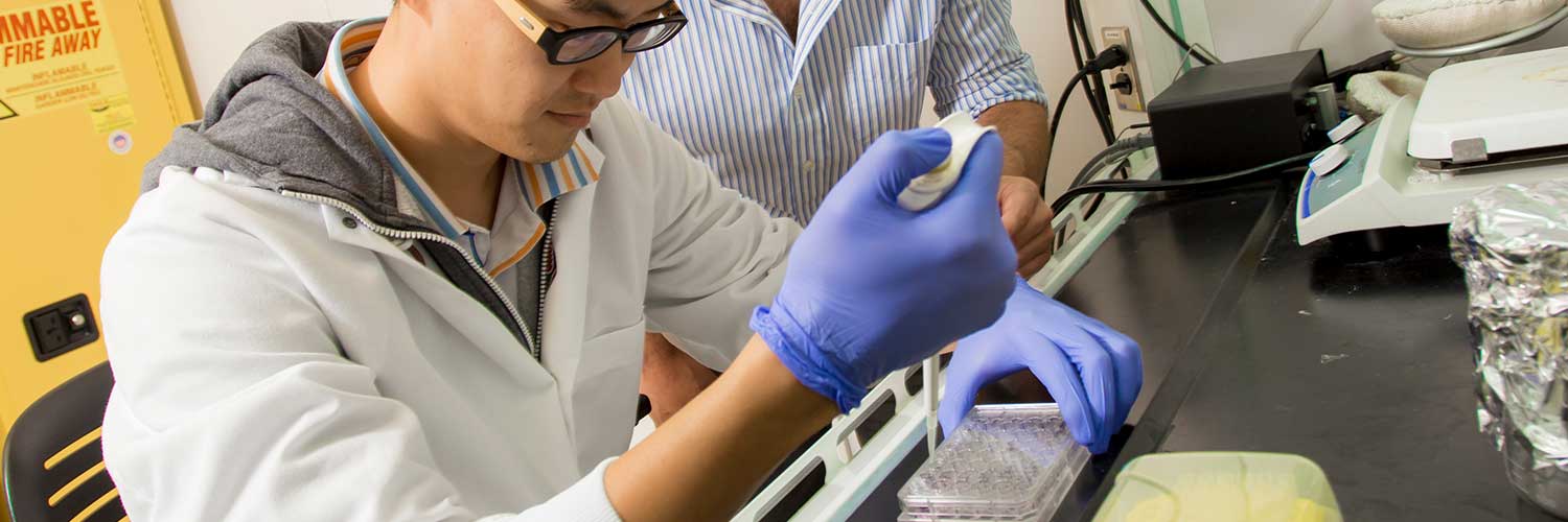 Lab worker with rubber gloves and test tubes