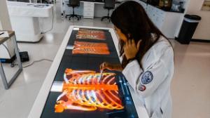 Biomed Student using touch screen display of a human body