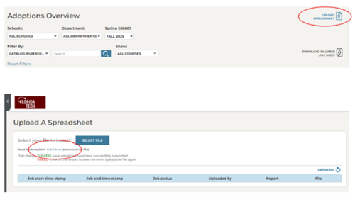 Overview of Adoptions Insight Portal
