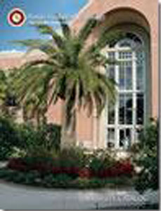 2007-2008 Catalog
