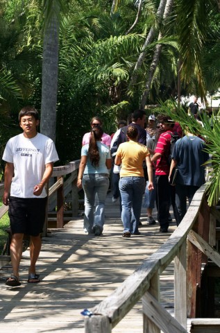 Students walking over a bridge