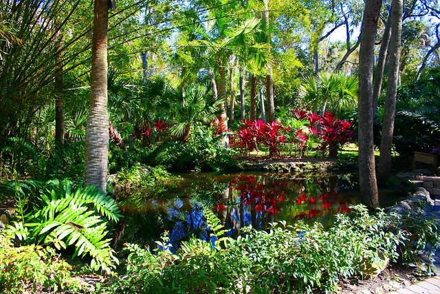 Joy and Gordon Patterson Botantical Garden