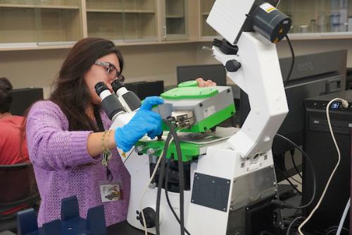 Graduate assistant Ana Isabel Delgado