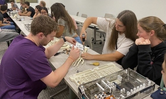Students participating in a premed club activity involving an articulated model of a skeletal hand
