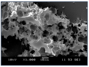 Figure. Superactivated hydrocahr from food waste