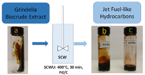 Viles containing Grindelia Bio Crude Extract and Jet Fuel-like Hydrocarbons.