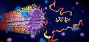 protein biochemistry