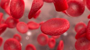 red blood cells