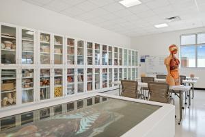 Anatomy lab in Nelson Health Sciences Building