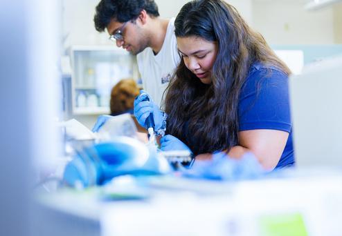 Two students working in a lab