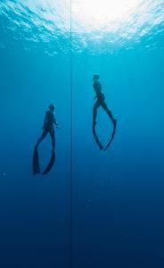 two freedivers coming to the surface