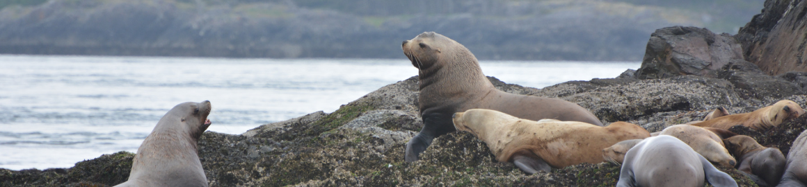 Pacific Northwest Summer Field Course