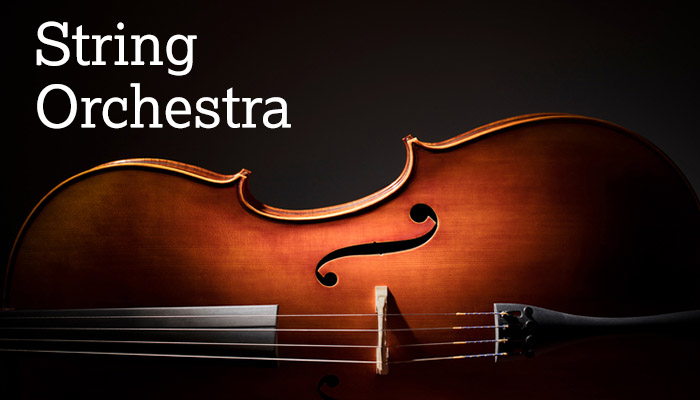 Go To String Orchestra