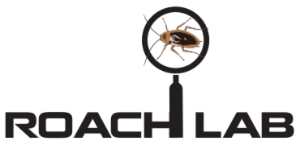 Roach Lab Logo