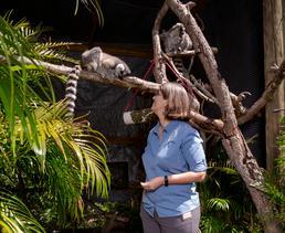 Interacting with a lemur at the Brevard Zoo.