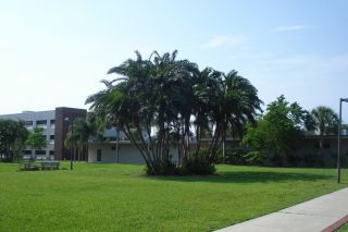 Academic Quad