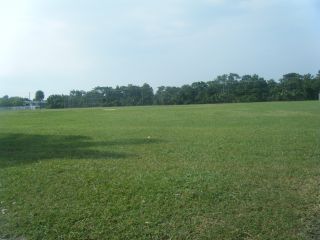 Open Field