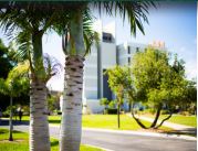 trees and engineering building
