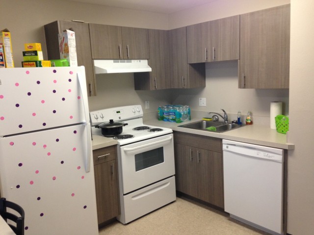 Double Apartment - Kitchen 1