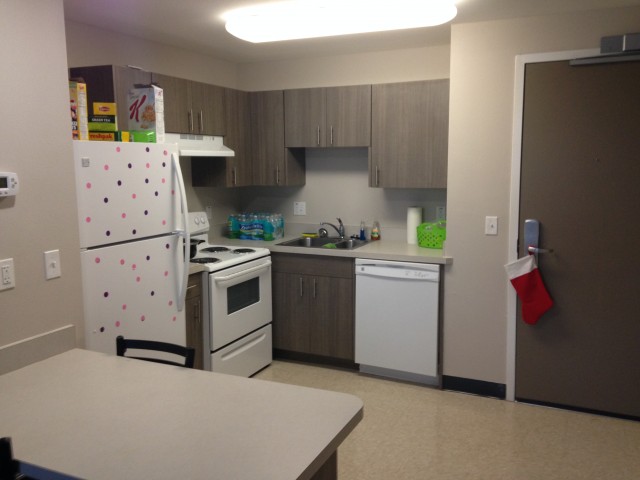 Double Apartment - Kitchen 2