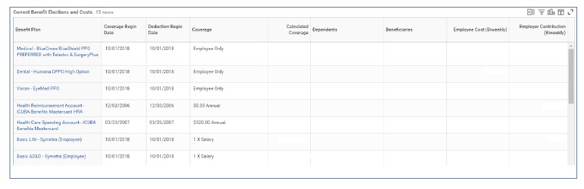 Workday Benefits Election Window