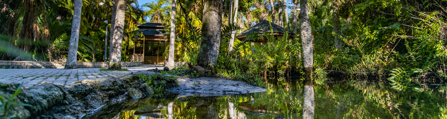 Lake at Botanical Gardens