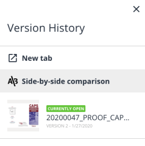 Proof versioning options menu