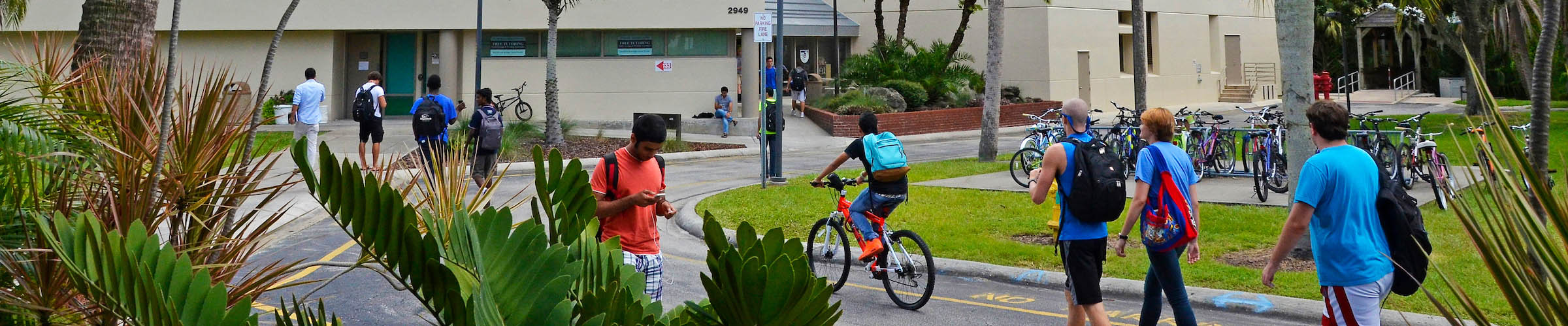 Students walking around Evans Library