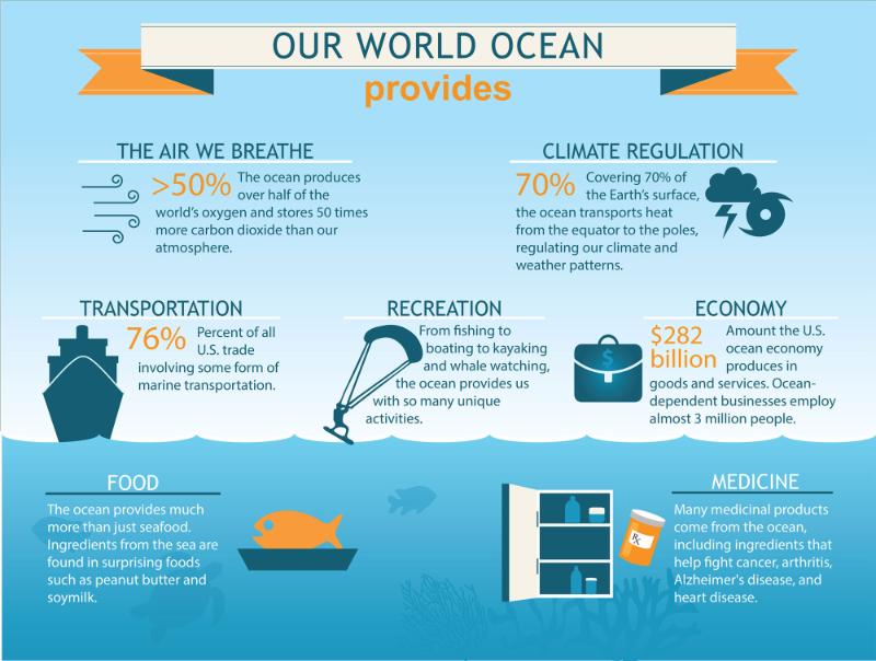 Our Ocean Graphic