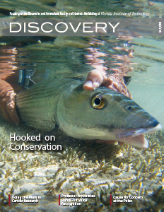 Florida Tech Discovery - Vol. 11
