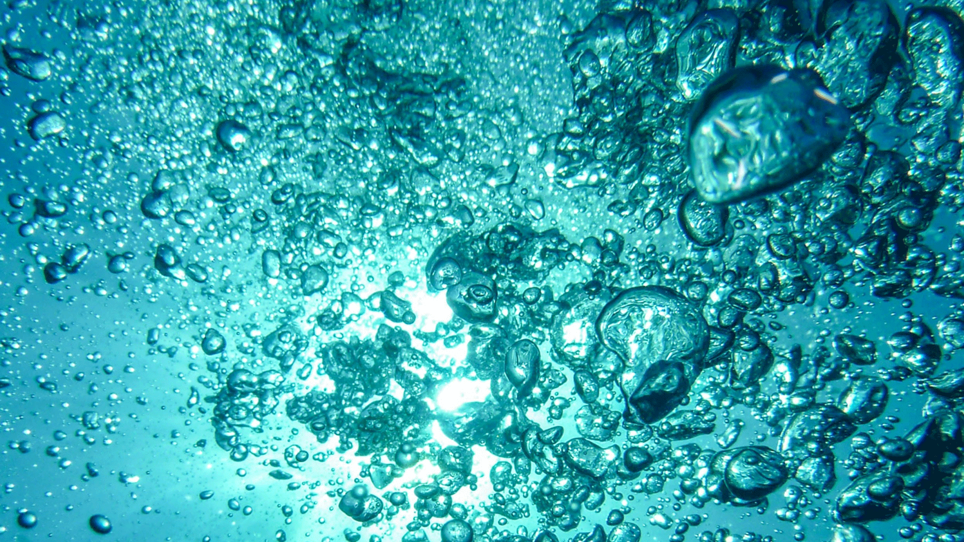 Ocean