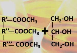 Production of High Purity Biodiesel Using Non-Edible Jatropha Catalyst and Oil