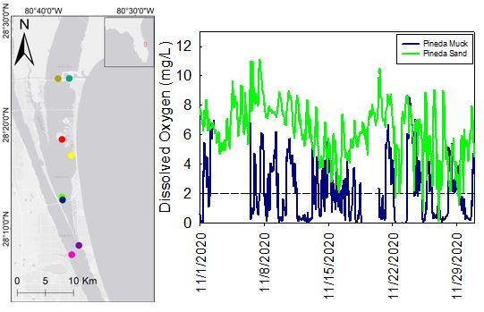 Continuously Monitoring Bottom Water Dissolved Oxygen in the Indian River Lagoon