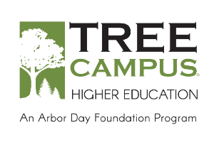 Tree Campus Logo