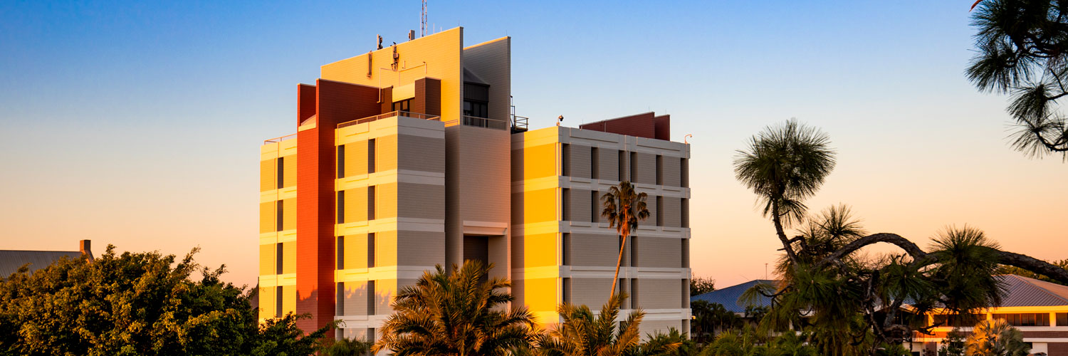 View of Engineering Building during Sunset